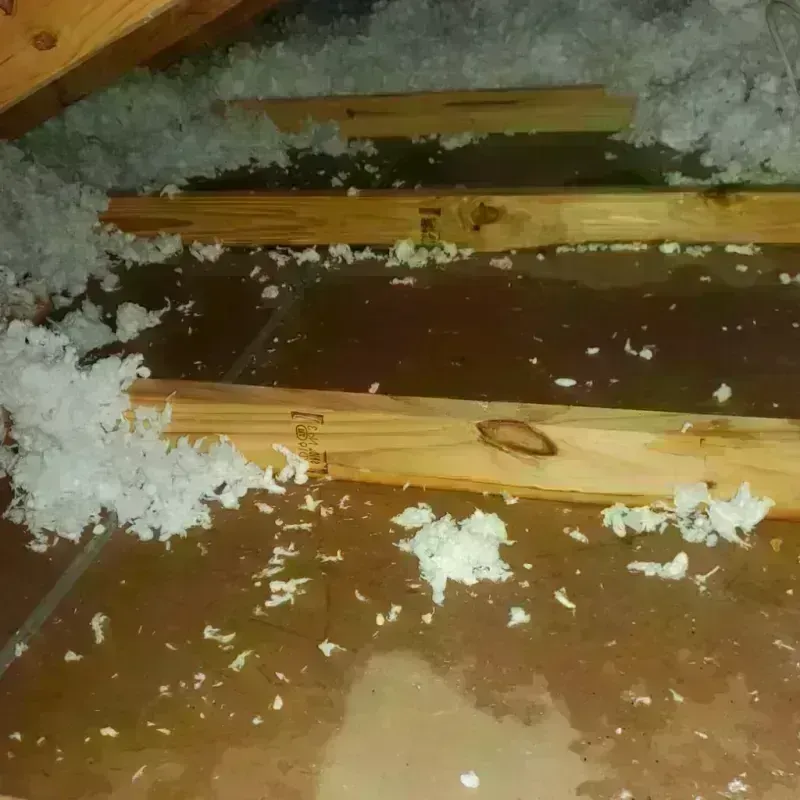 Attic Water Damage in Pepperell, MA